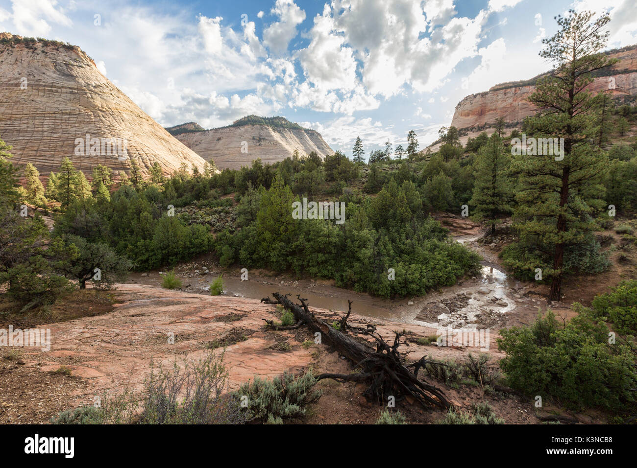 Landscape from Zion Canyon Scenic Drive. Zion National Park, Hurricane, Washington County, Utah, USA. Stock Photo