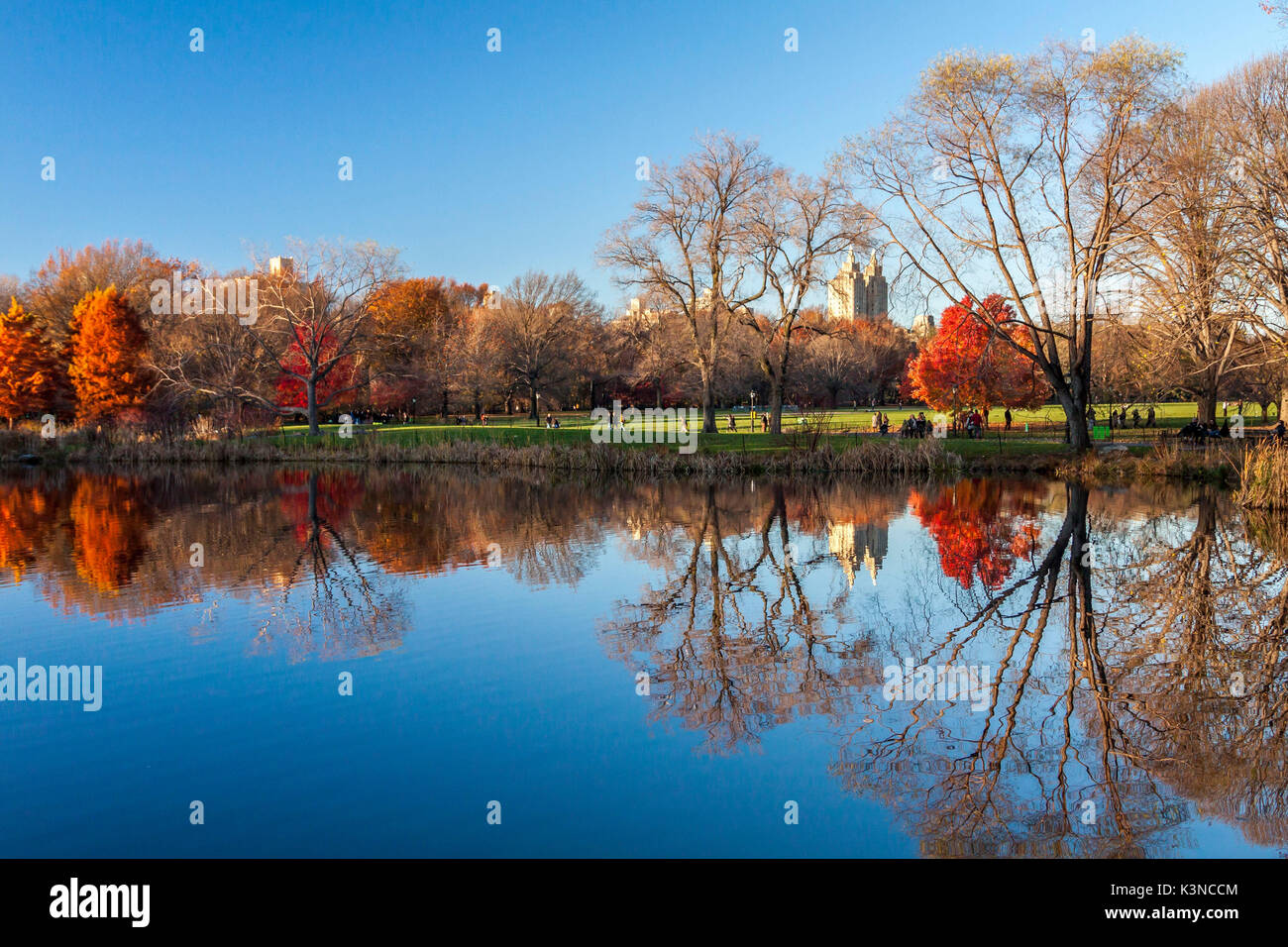 Park new york city usa hi-res stock photography and images - Alamy
