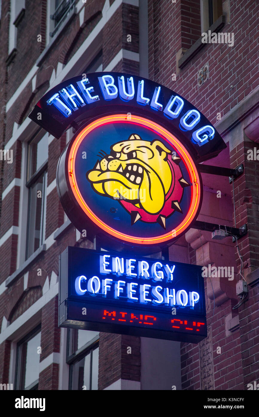 Bulldog Coffee shop in Amsterdam - Netherlands - Europe Stock Photo