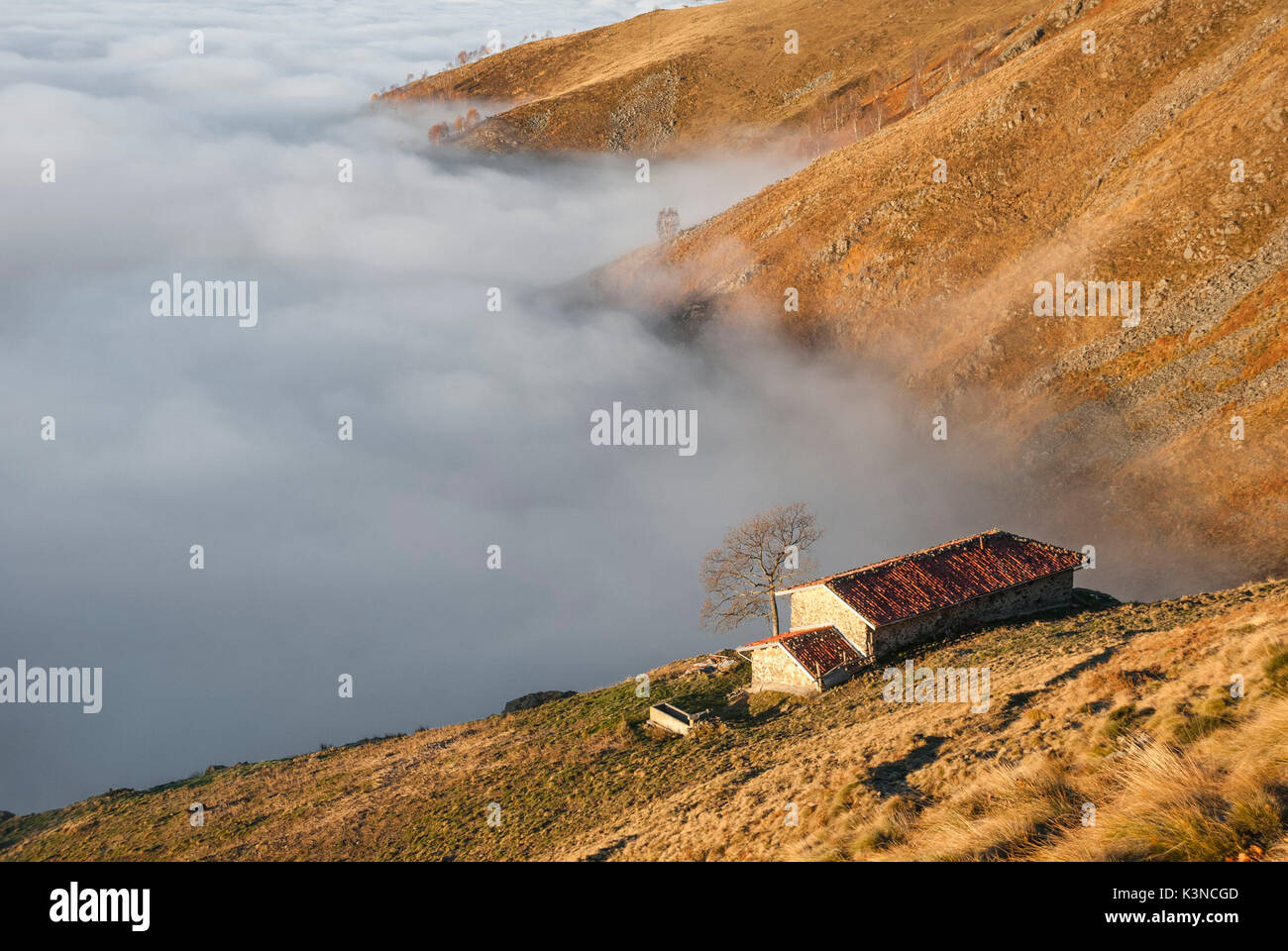 Mountain pasture over the clouds (Bielmonte, Veglio, Biella province, Piedmont, Italy, Europe) Stock Photo
