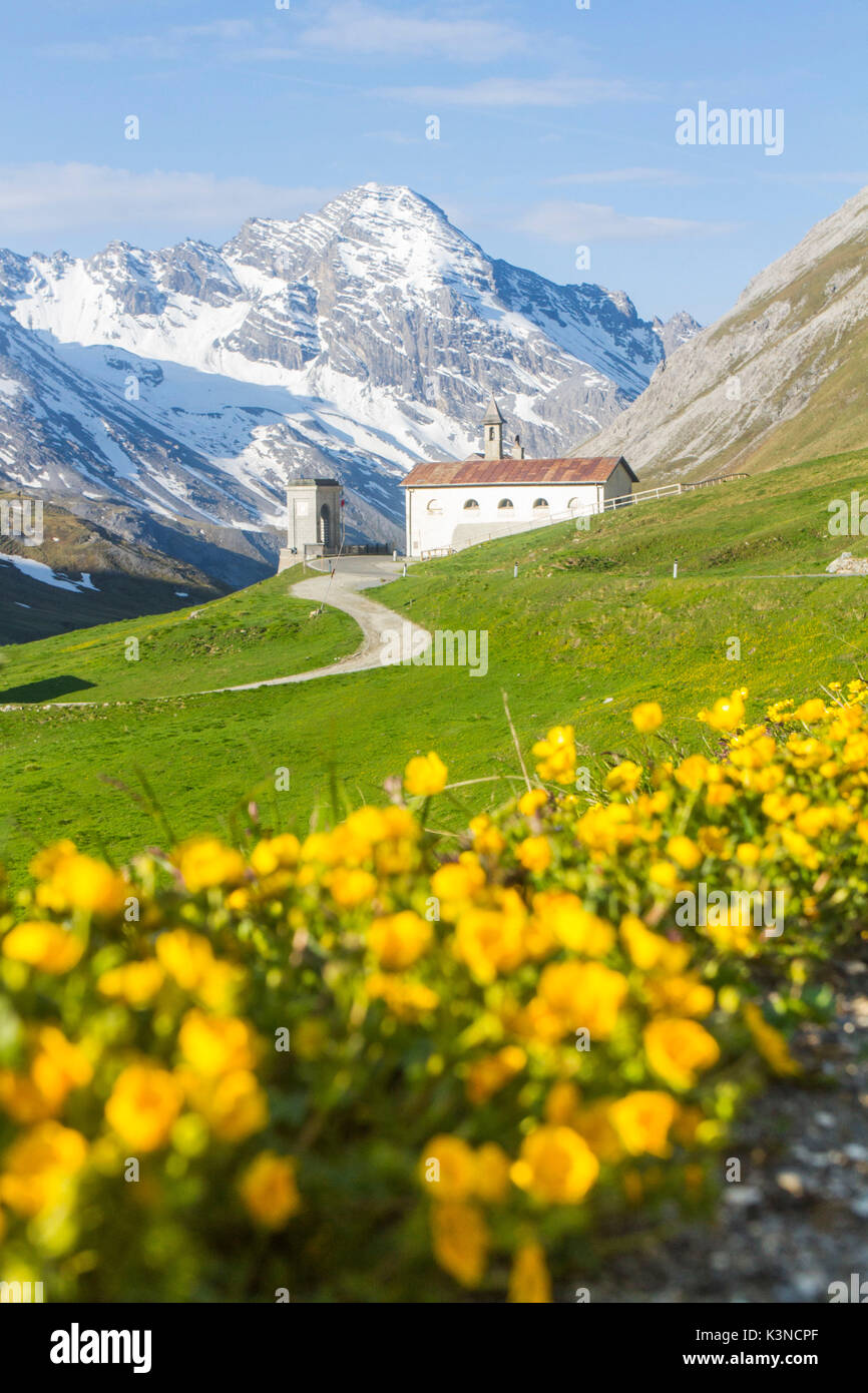 The Third House Cantoniera The Stelvio Pass In Summer Bormio the-third-house-cantoniera-the-stelvio-pass-in-summer-bormio