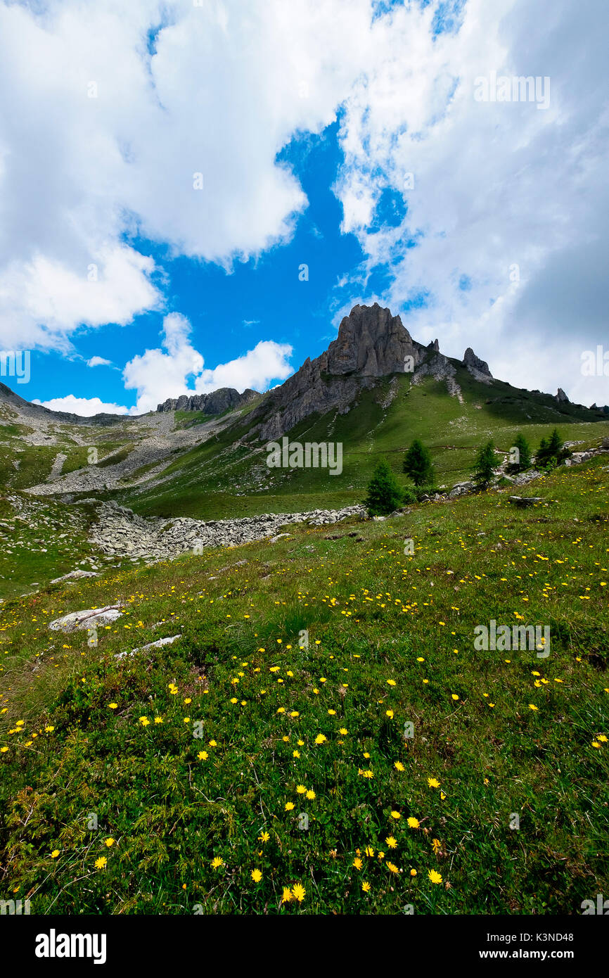 Gaver hi-res stock photography and images - Alamy