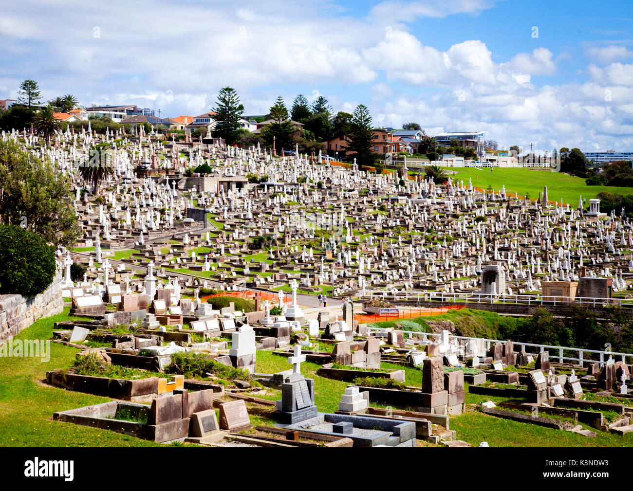 Waverley Cemetery at Bronte in Sydney's eastern suburbs looks out on the ocean below Stock Photo