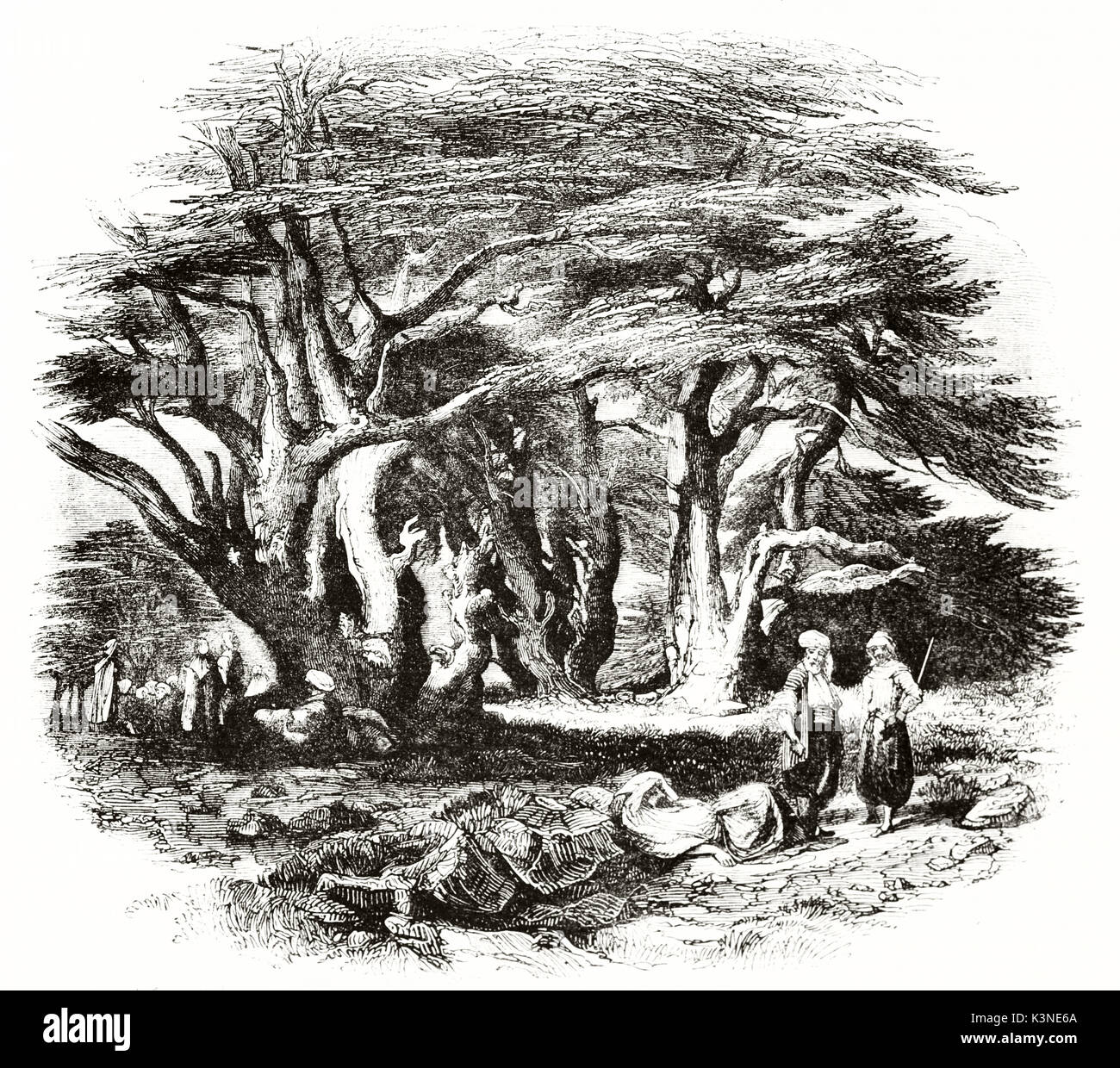 Muslim people taking a rest under a knotty big Lebanon cedar that makes a fresh shadow. Ancient illustration by unidentified author published on Magasin Pittoresque Paris 1839 Stock Photo