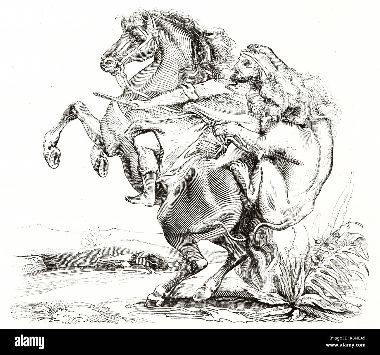 Cruel Lion attacks his hunter on his backs like an ambush making his horse rearing up scared. Ancient detailed illustration by unidentified author published on Magasin Pittoresque Paris 1839 Stock Photo