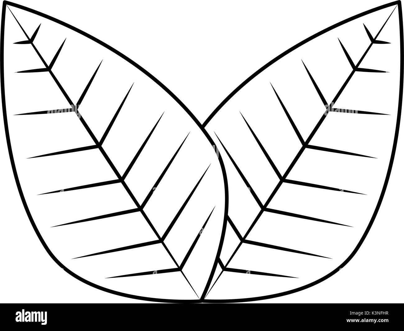 leaves icon over white background vector illustration Stock Vector ...