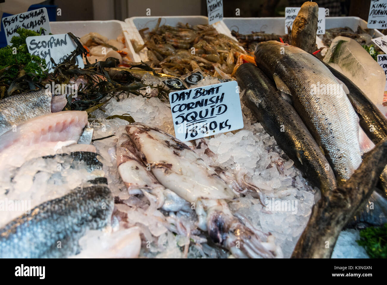 Close-up of Cornish Squid on a fishmonger's stall at Borough Market, London, SE1, UK Stock Photo