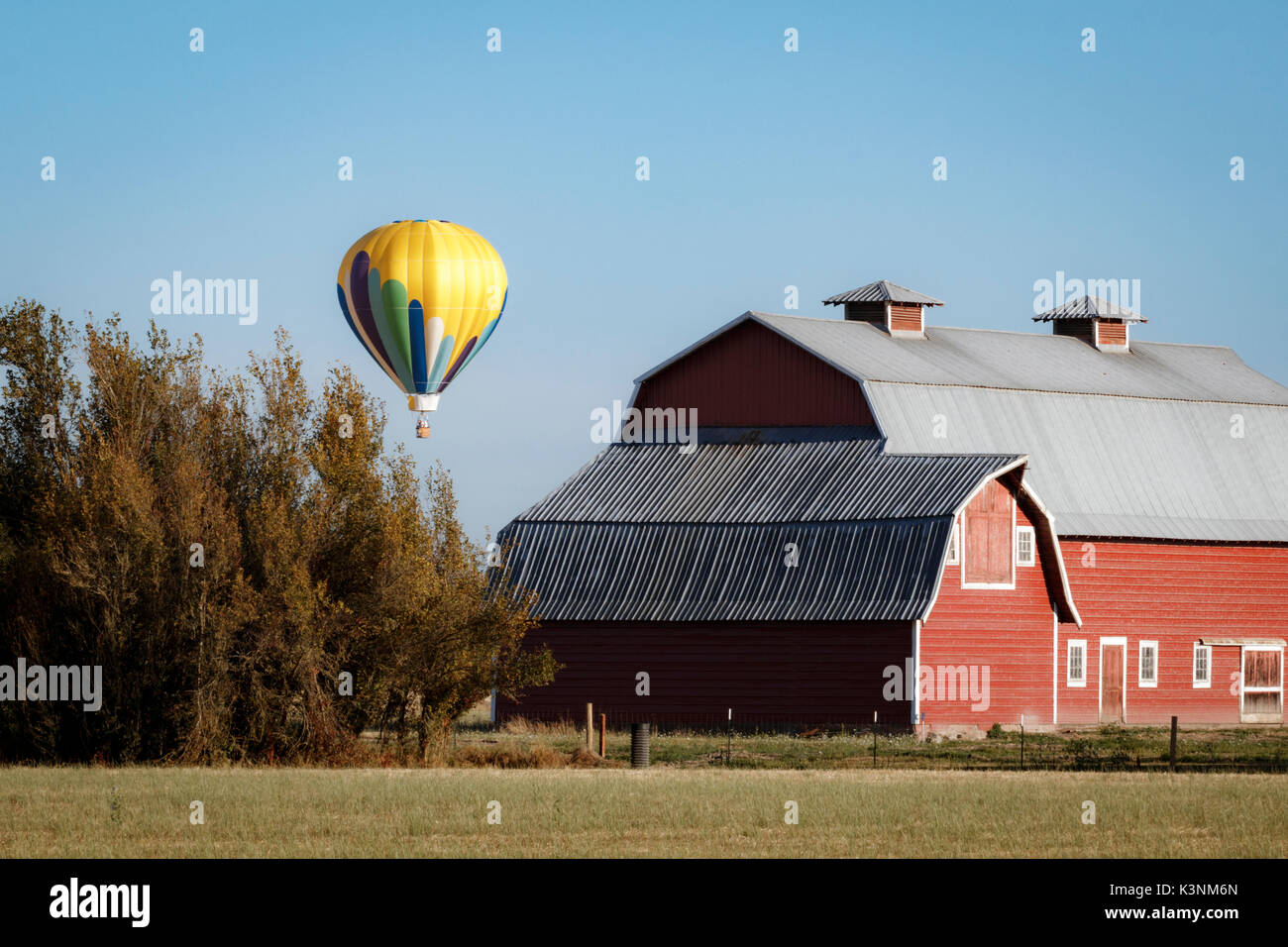 A bright yellow hot air balloon floats by a barn in rural Oregon, USA. Stock Photo