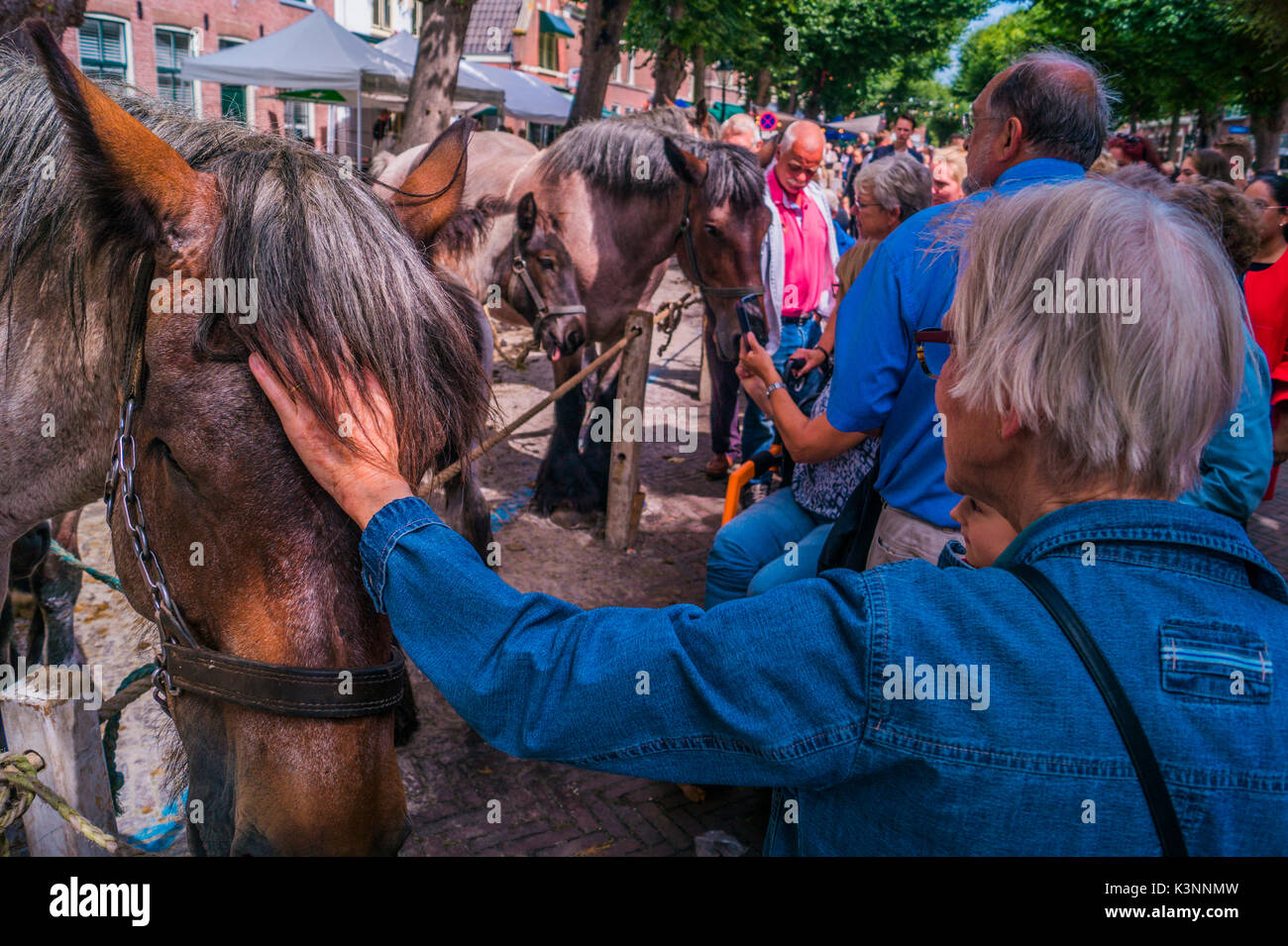 a old woman petting a brown horse on the head at the horsemarket of Voorschoten.  The Netherlands 2017 Stock Photo