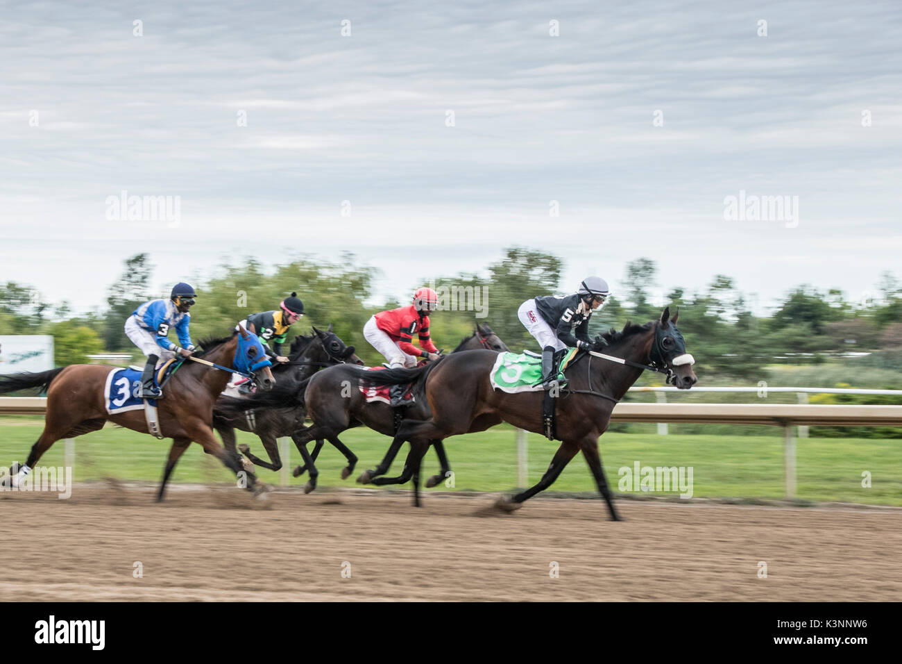 Horse race track finish hires stock photography and images Alamy