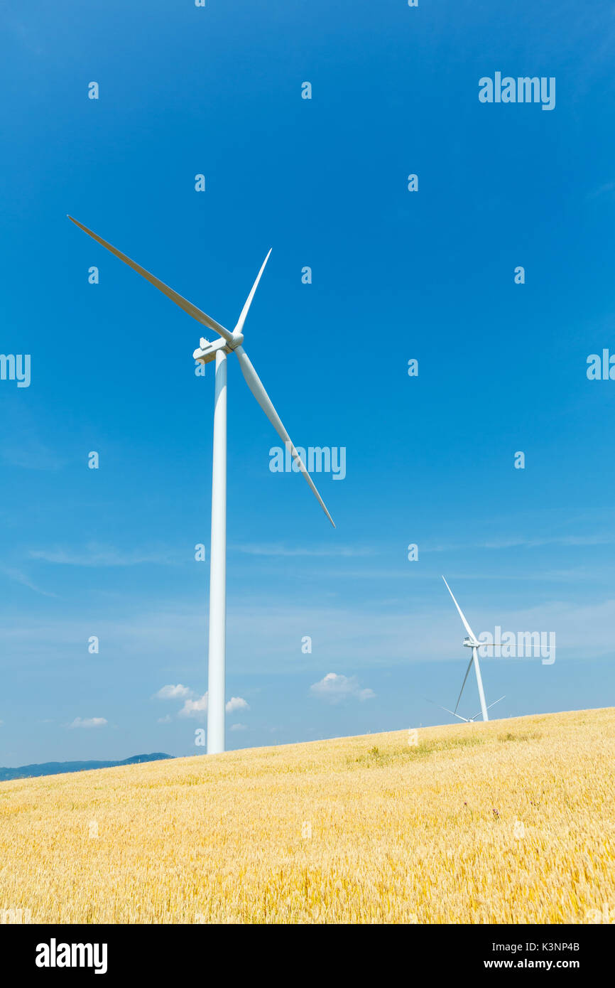 Wind turbines in a wheat field over a deep blue sky. Renewable energy ...