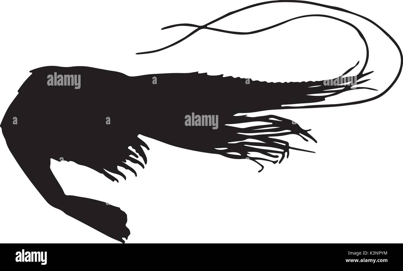 Shrimp icon hi-res stock photography and images - Alamy