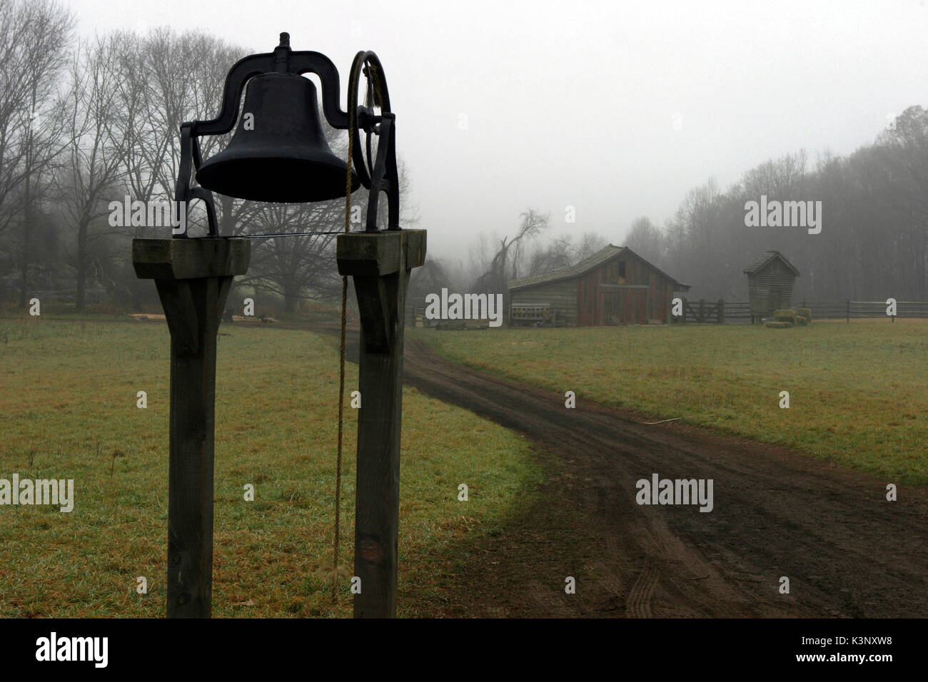 The Village main image 1