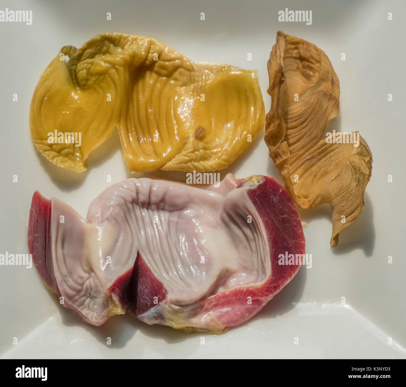Chicken gizzard and its membrane. Stock Photo