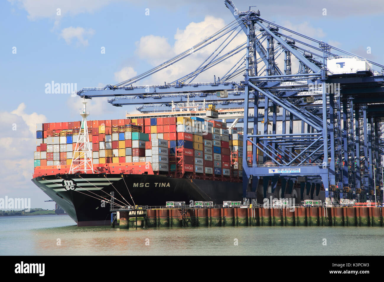 MSC Tina container ship cranes unloading at quayside, Port of ...