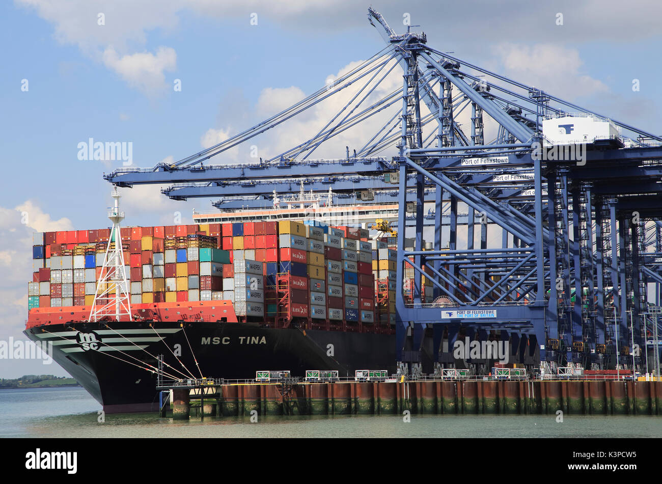 MSC Tina container ship cranes unloading at quayside, Port of ...