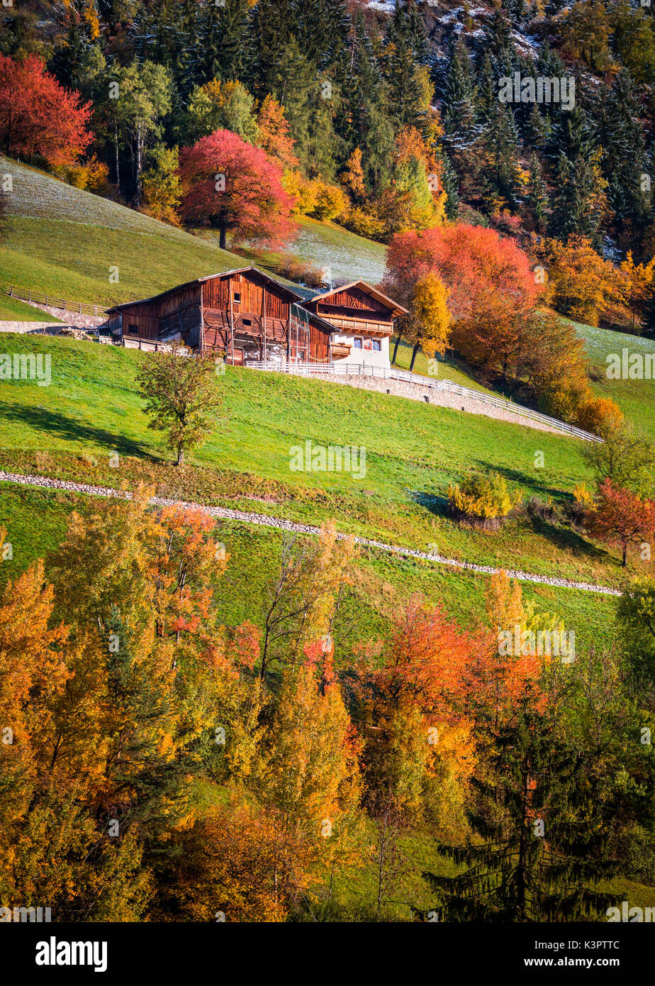 Val di Funes, Trentino Alto Adige, Italy Stock Photo