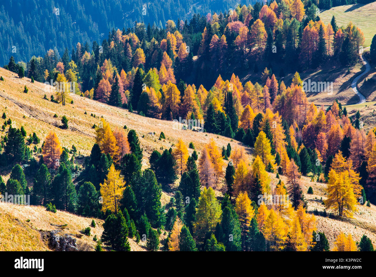 Funes Valley, Trentino Alto Adige, Italy. Stock Photo