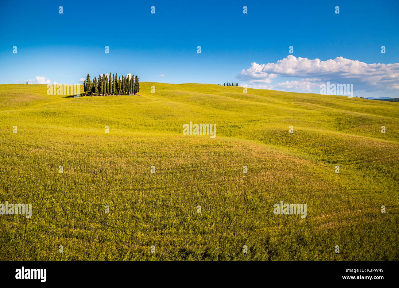San Quirico d'Orcia, Tuscany, Italy Stock Photo - Alamy