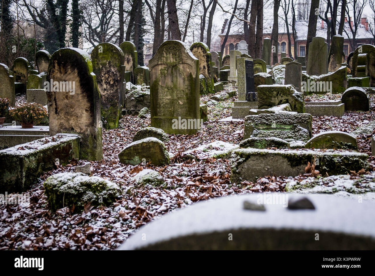 Krakow, Poland, North East Europe. Tombstones in new Jewish cemetery. Stock Photo
