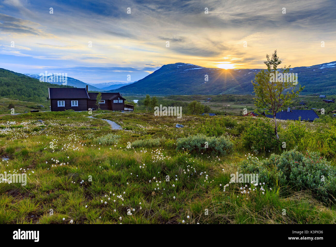 Sunset in the Hardangervidda National Park in Norway with the typical houses immersed into the grass filled by nordic cottongrass, Hordaland Stock Photo