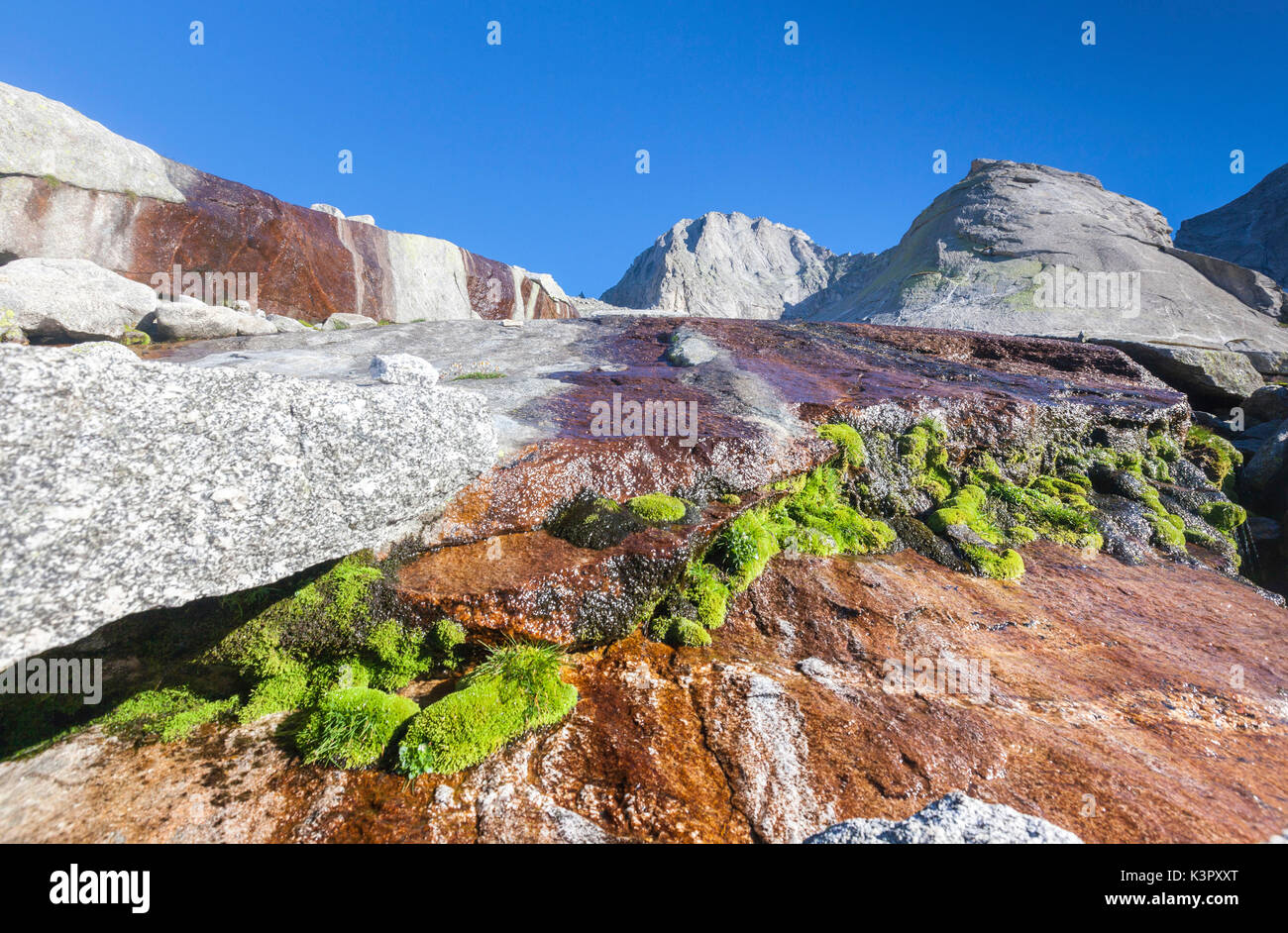 Blue sky on the rock faces and high peaks Porcellizzo Valley Masino Valley Valtellina Province of Sondrio Lombardy Italy Europe Stock Photo