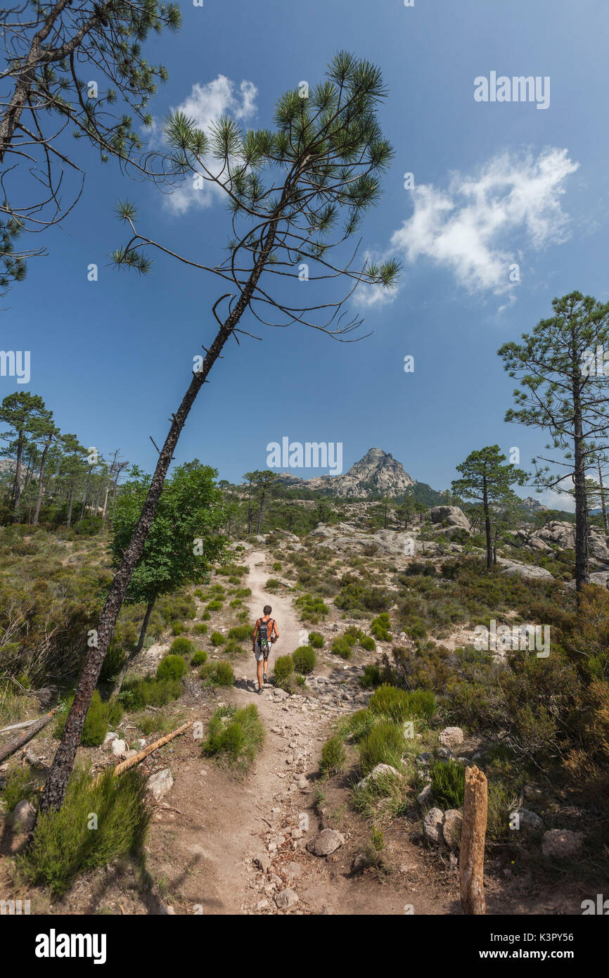 Hiker surrounded by woods in the Nature Park of the L'Ospedale mountain Piscia Di Gallo Zonza Southern Corsica France Europe Stock Photo