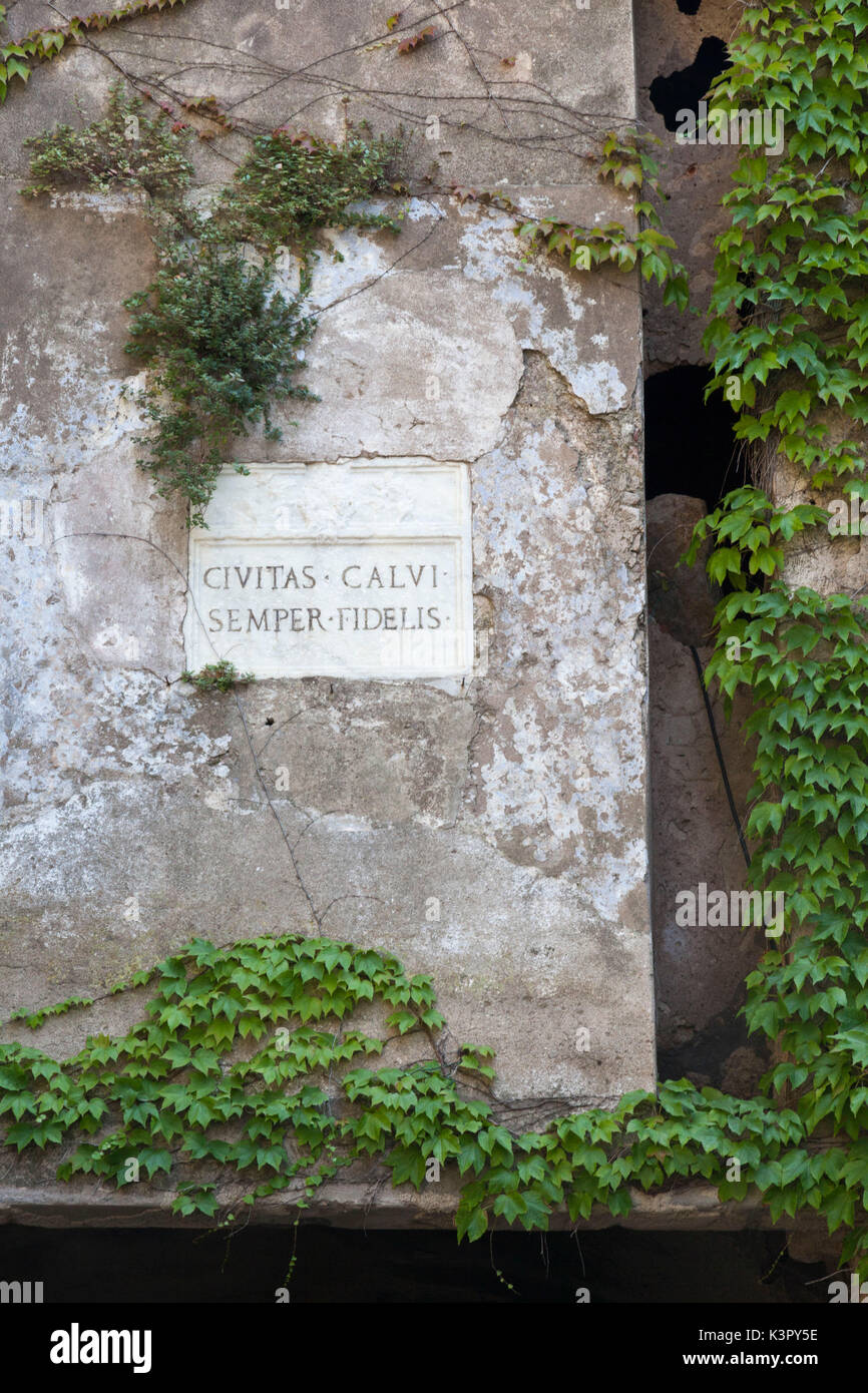 Details of the stone plaque of the city gate of Calvi framed by fern Balagne Region northwest Corsica France Europe Stock Photo