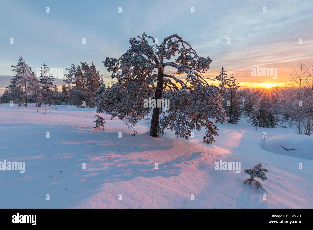 The last lights of the arctic sunset on the snowy woods Vennivaara Rovaniemi Lapland region Finland Europe Stock Photo