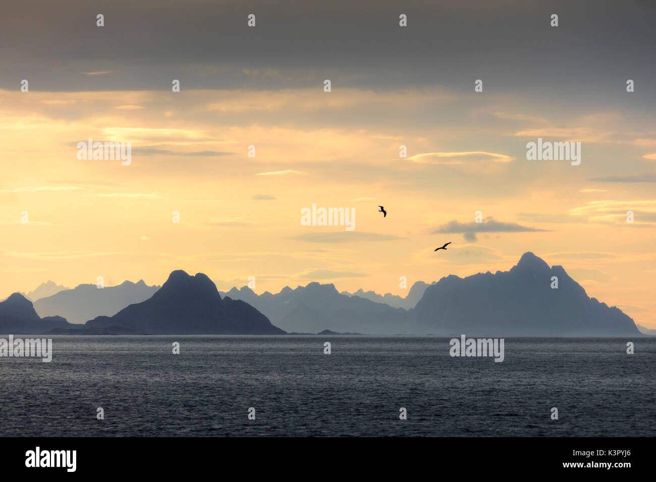 Birds fly in between sky illuminated by the midnight sun and clear sea Lofoten Islands Norway Europe Stock Photo