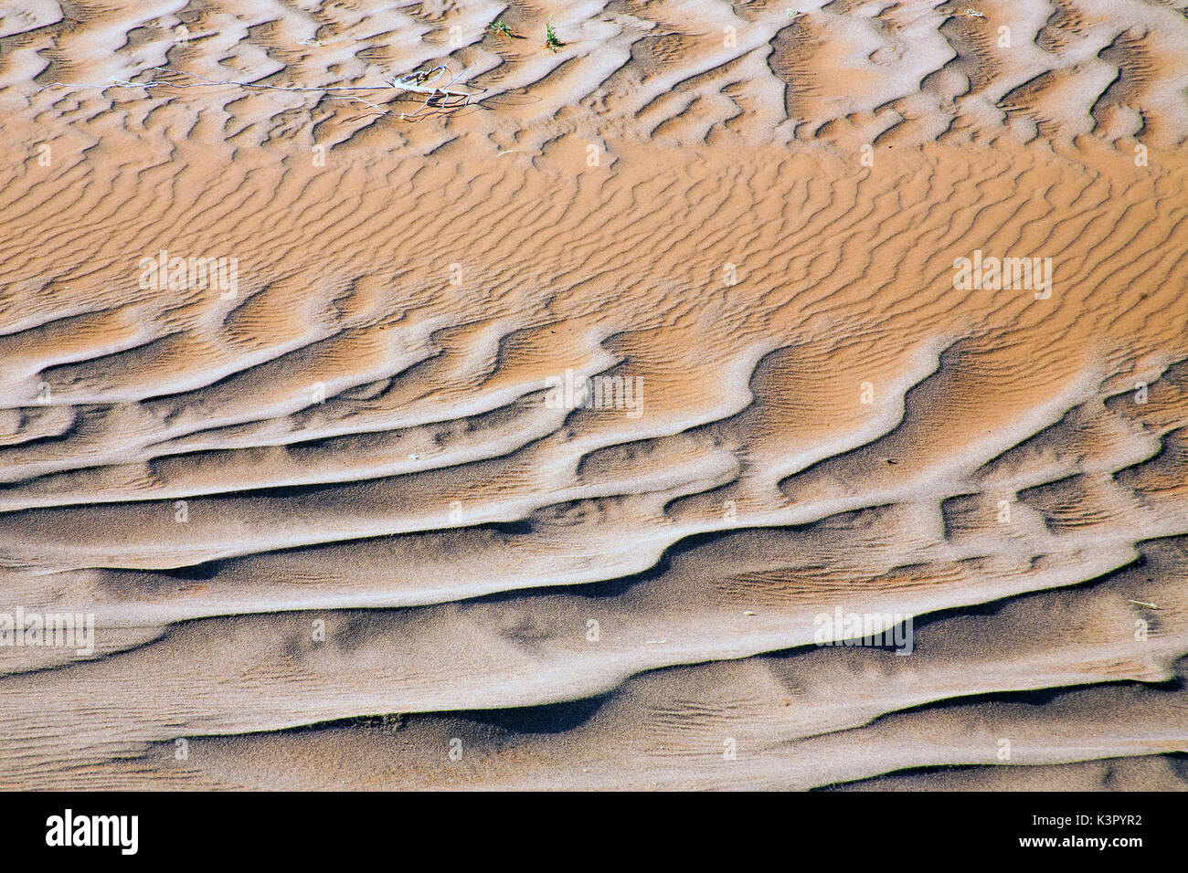 Wind and gravity are constantly redefining the shape of the dunes in Namib Desert, Namibia Africa Stock Photo