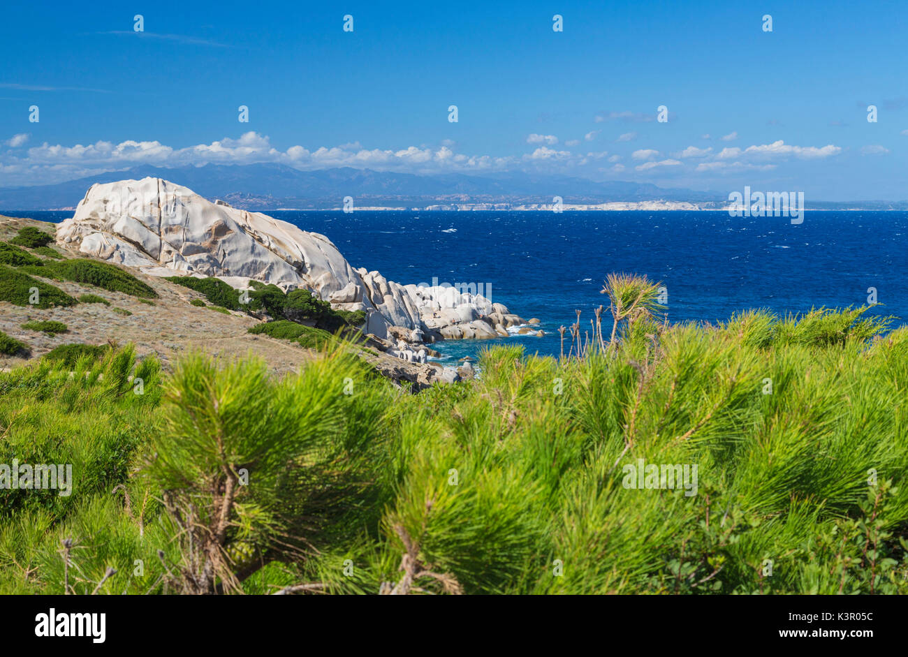 Green plants frame the pristine blue sea and cliffs Capo Testa Santa Teresa di Gallura Sassari Province Sardinia Italy Europe Stock Photo