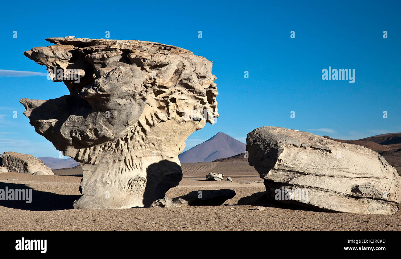 Arbol de Piedra, an interesting natural rock formation in the Eduardo Avaroa Andean Fauna National Reserve of Sur Lìpez Province is a testament to Nature's unusually creative skills - Bolivia South America Stock Photo