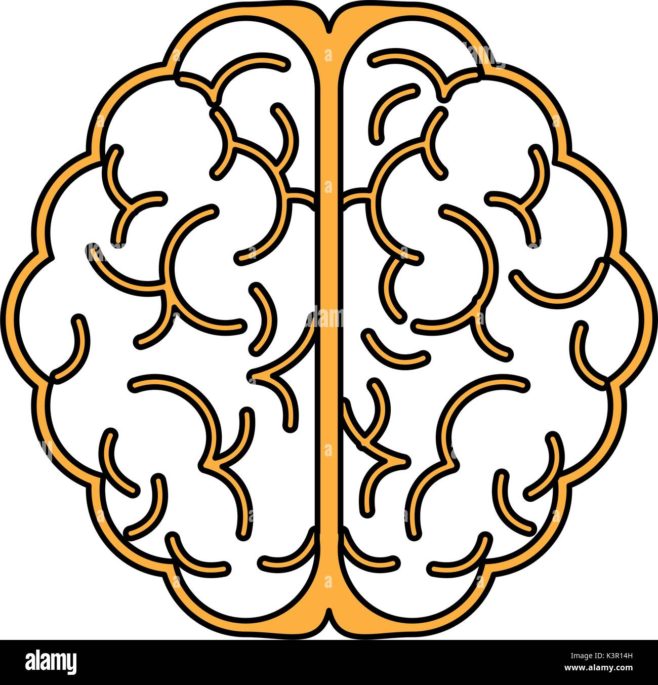 Isolated brain design Stock Vector Image & Art - Alamy