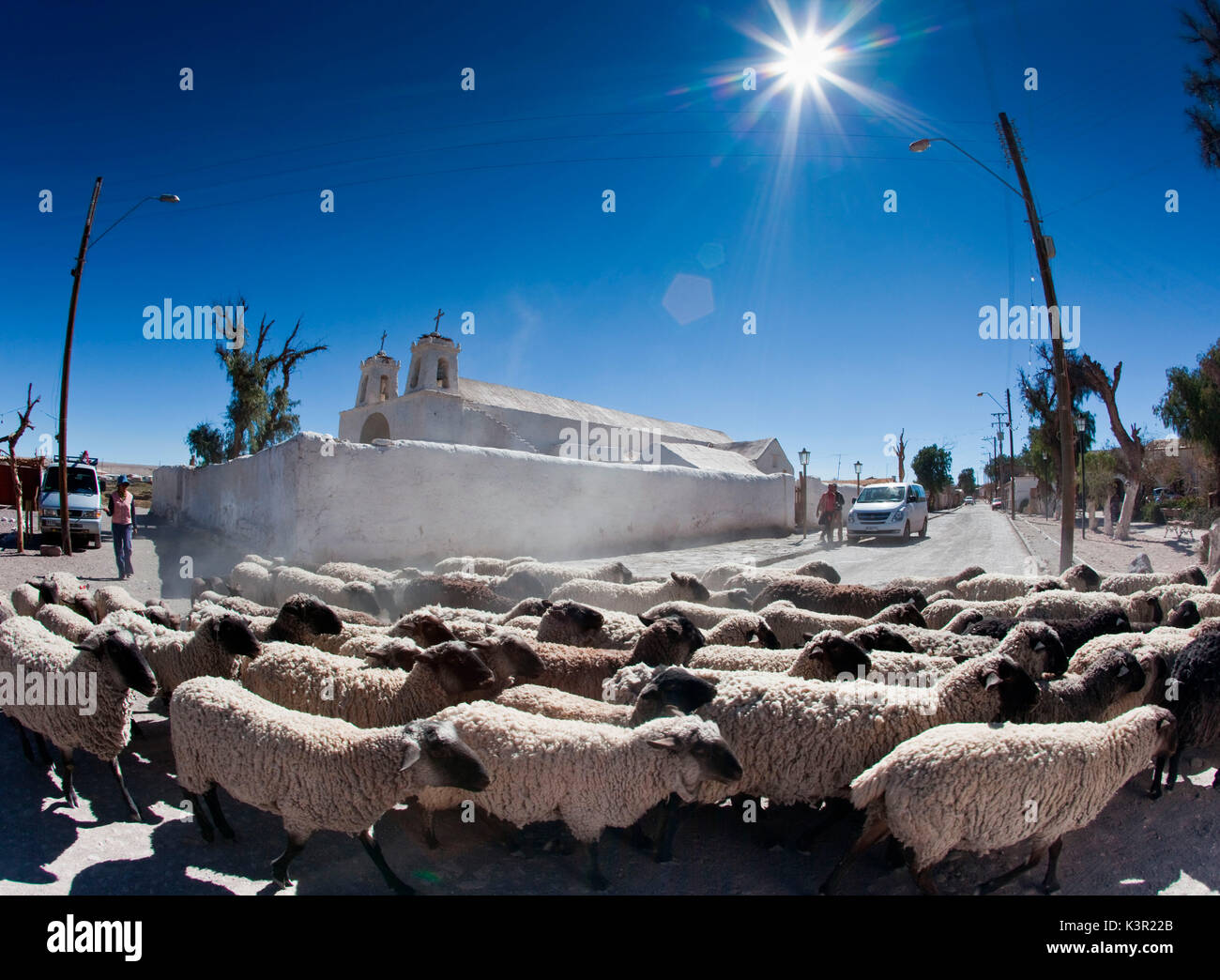 A flock of sheep crossing the main road of Chiu Chiu a town in Chile which was one of the stops on the Inca trail and is still a rest stop for travelers in the desert. South America Stock Photo