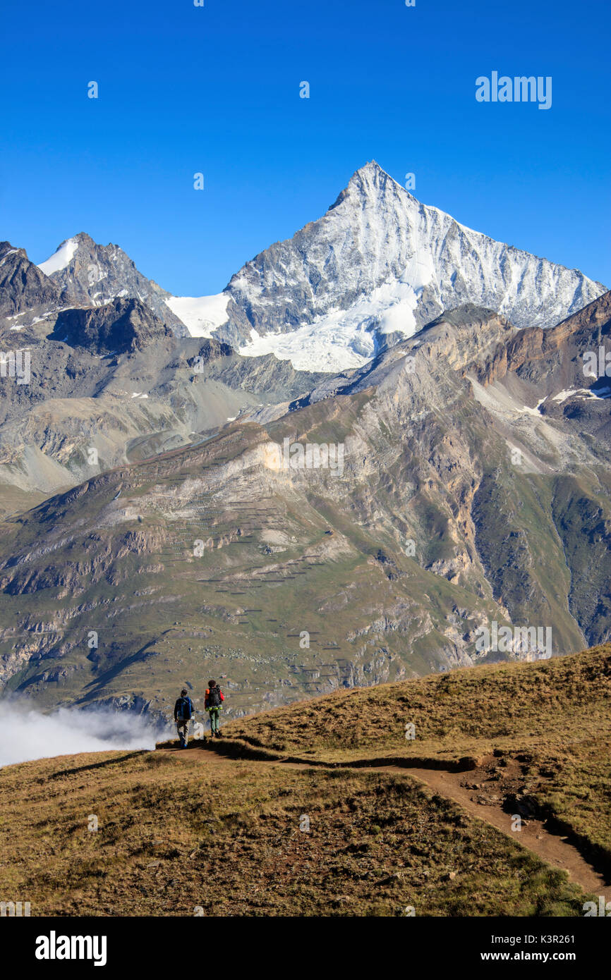 Hikers proceed towards the high peak of Dent Herens in a clear summer day Gornergrat Canton of Valais Switzerland Europe Stock Photo