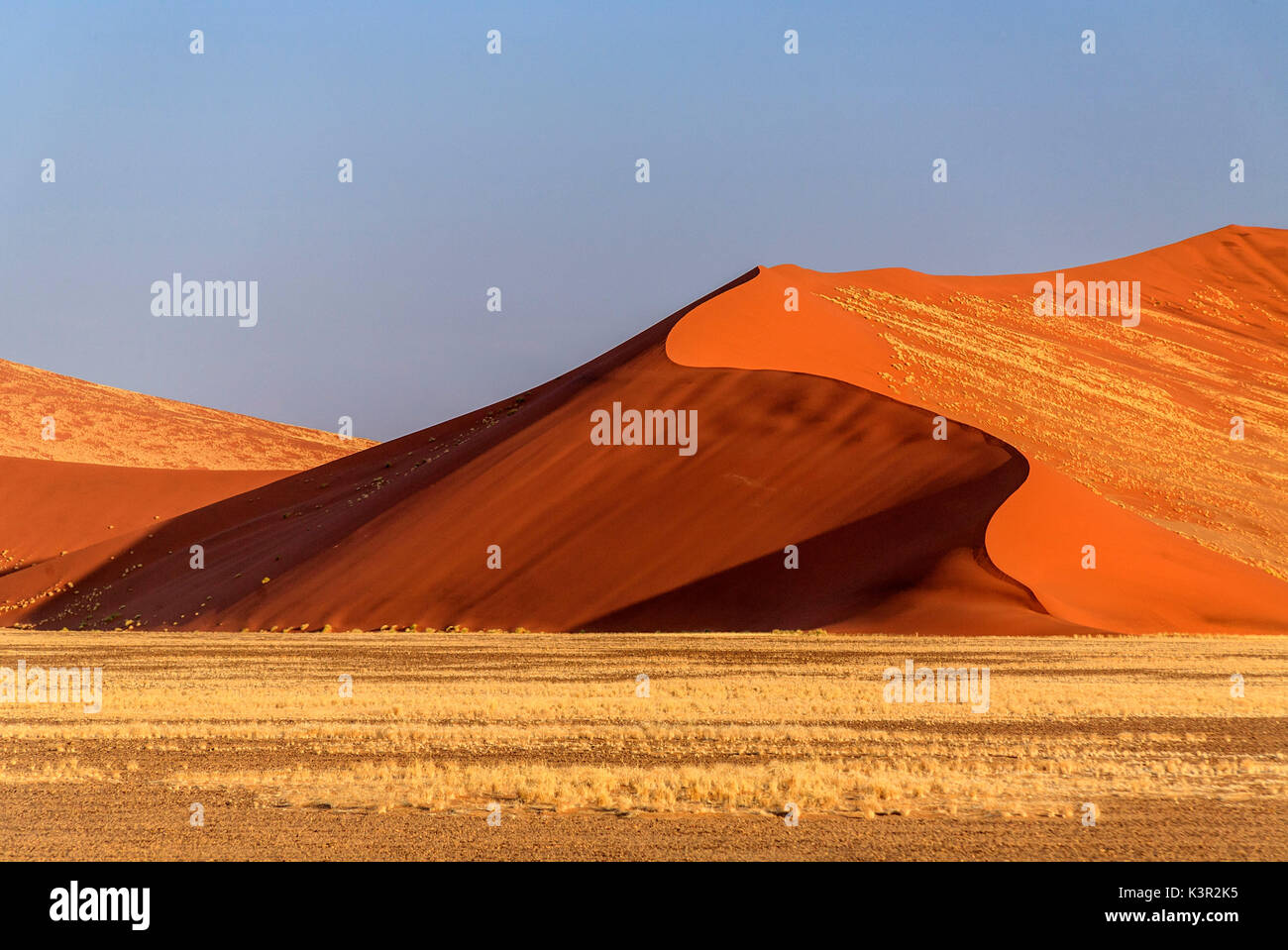 Dune 45 the star dune composed of 5 million year old sand Sossusvlei Namib Desert Naukluft National Park in Namibia Africa Stock Photo