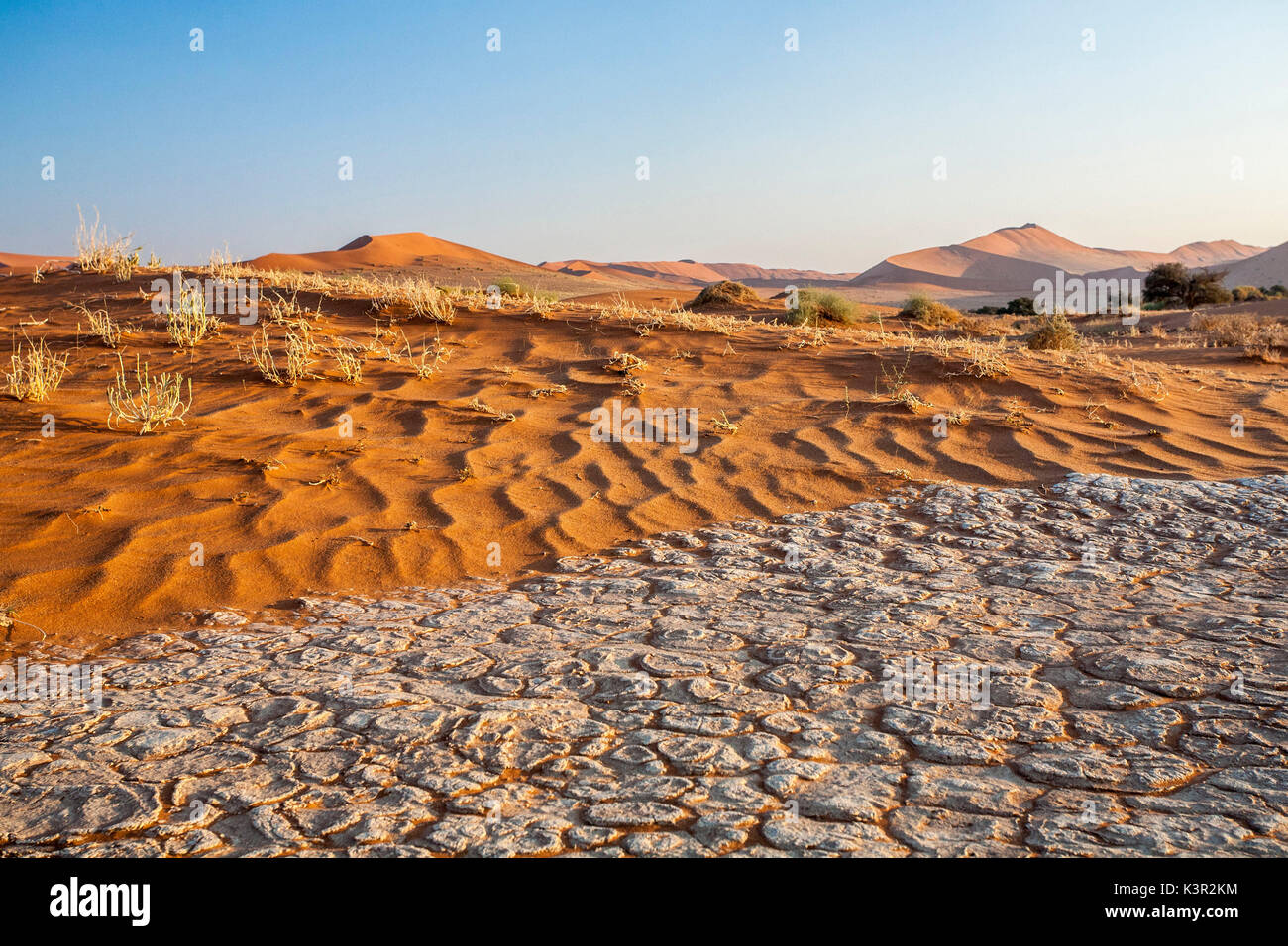 Parched ground and dry plants surrounded by sandy dunes Deadvlei Sossusvlei Namib Desert Naukluft National Park Namibia Africa Stock Photo