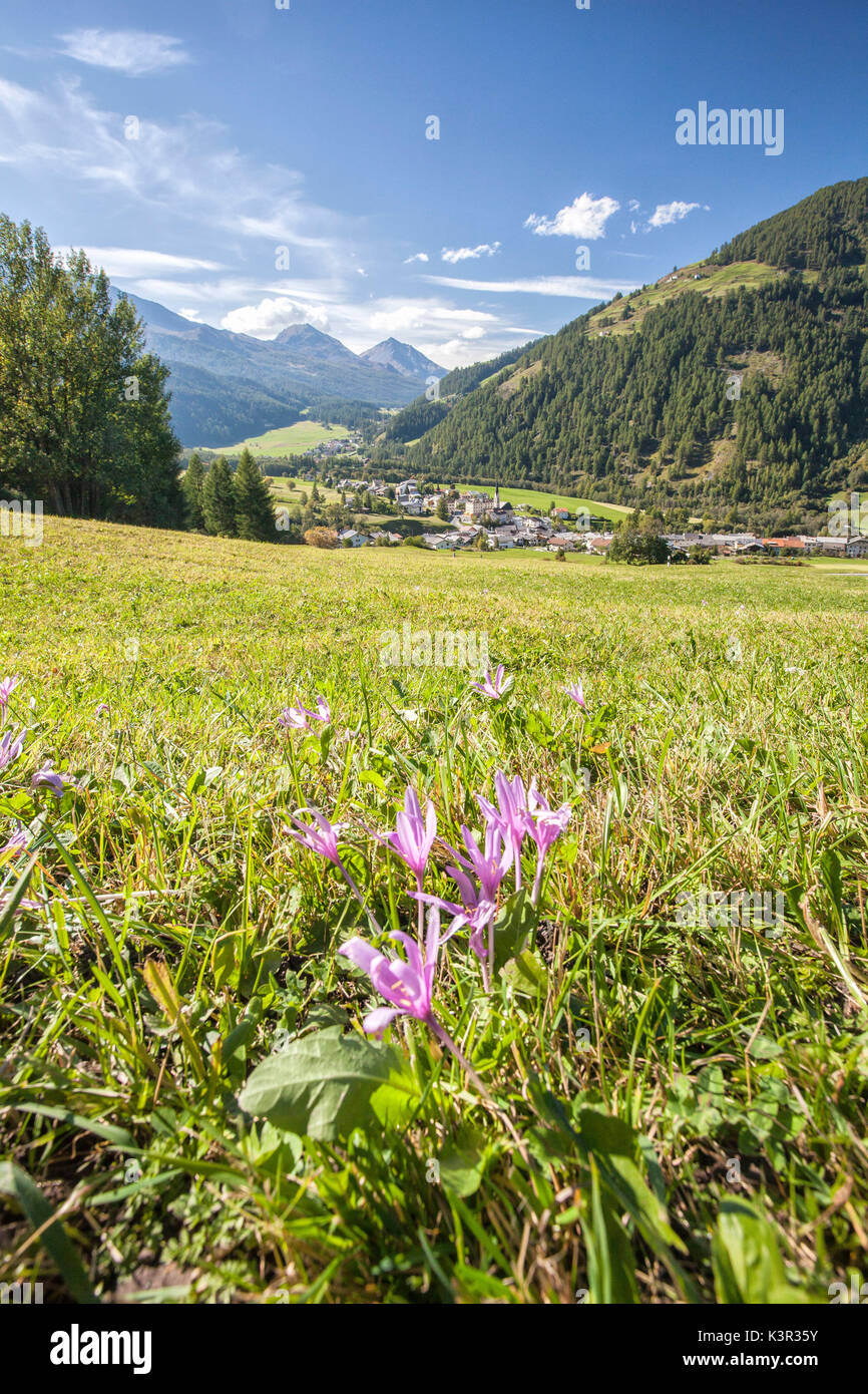 Santa Maria village Umbrail Pass Mustair Valley Canton of Grisons Switzerland Europe Stock Photo