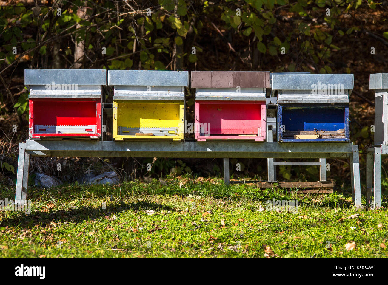 Colored hives for the production of honey. Lombardy. Italy. Europe Stock Photo