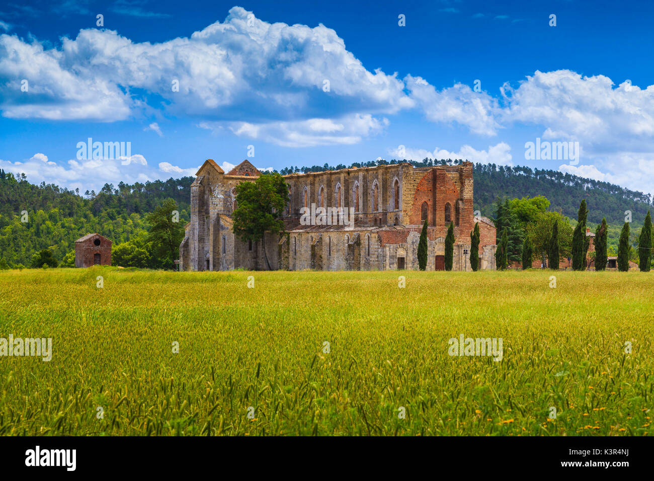 San Galgano Abbey near Siena, Tuscany, Italy, Europe Stock Photo