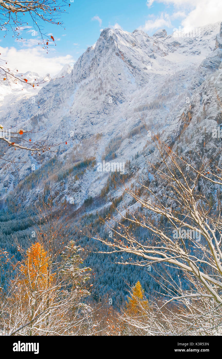 Somadida reservation,natural park,Auronzo,Cadore,Marmarole,Dolomites,Alps,Veneto,Italy Stock Photo
