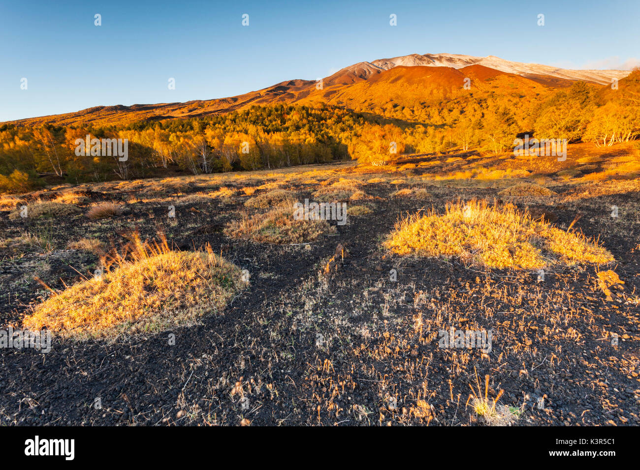 Etna National Park, Catania province, Italy, Europe Stock Photo Alamy