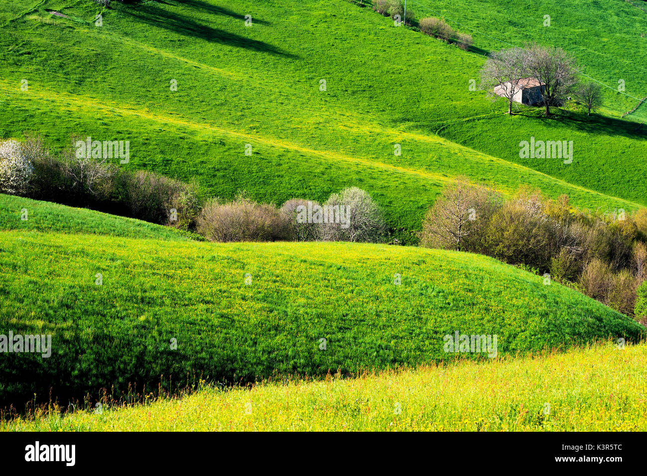 Spring Detail, Province of Bergamo, Italy. Stock Photo