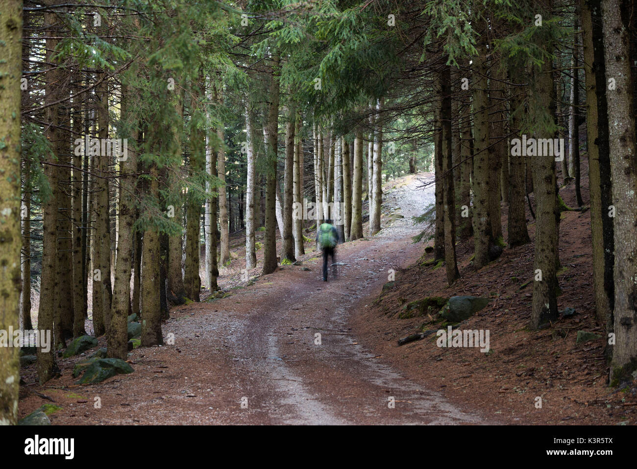 Trails In The Park Adamello High Resolution Stock Photography and ...