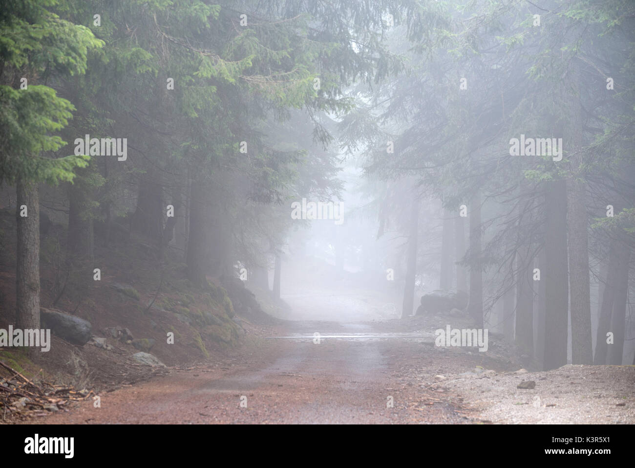 Trails In The Park Adamello High Resolution Stock Photography and ...