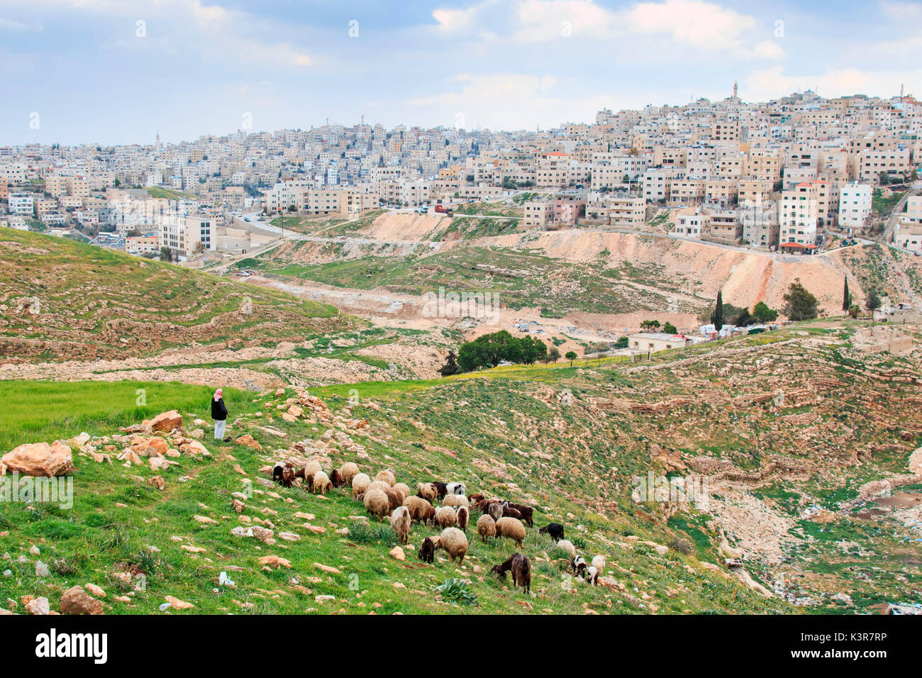 Shepherd enjoying the beautiful view of Amman, the capital of Jordan, from one of the hills nearby. Stock Photo