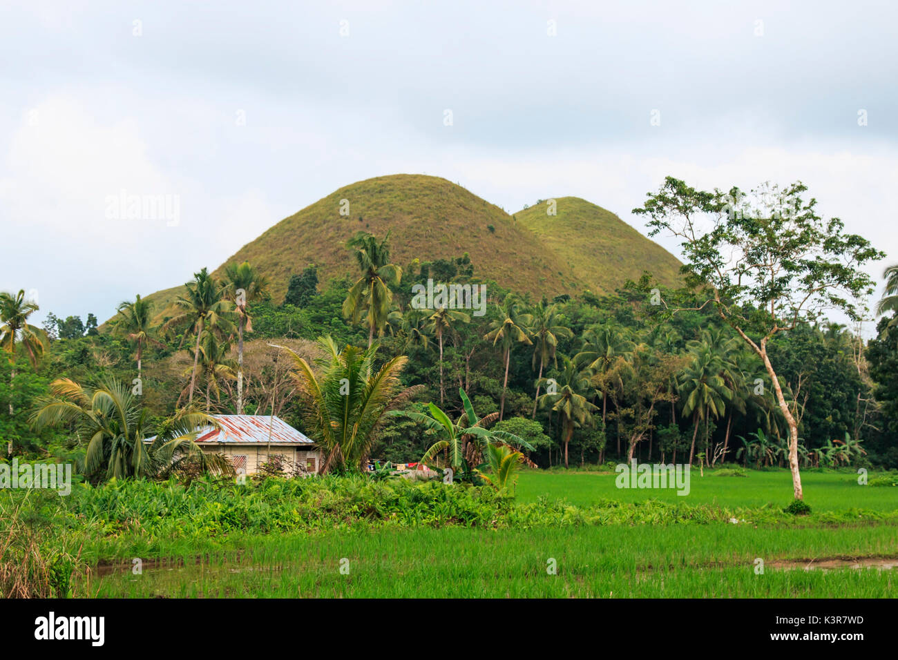 Philippines house hi-res stock photography and images - Alamy
