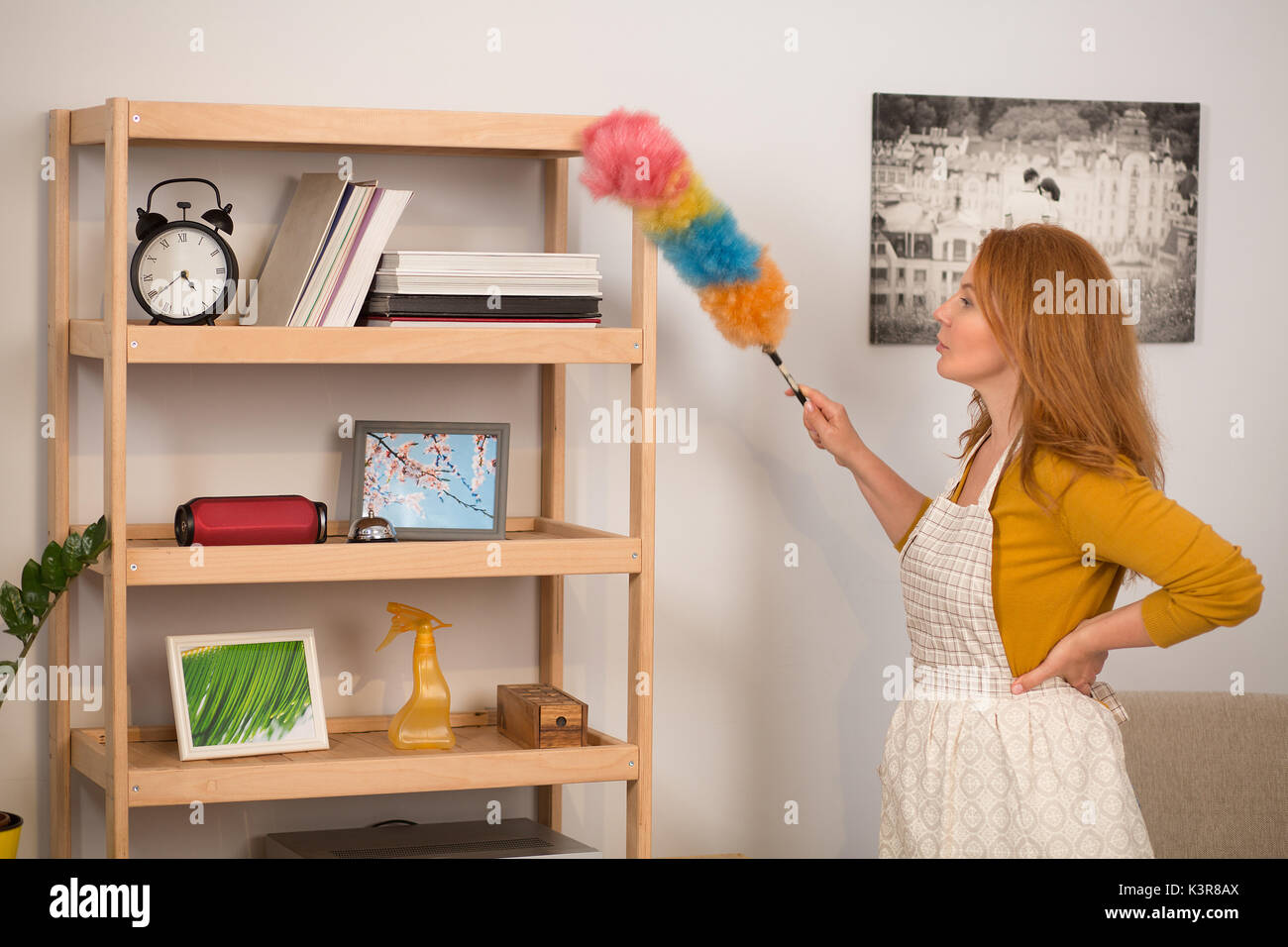 Beautiful housewife cleaning the house. Stock Photo