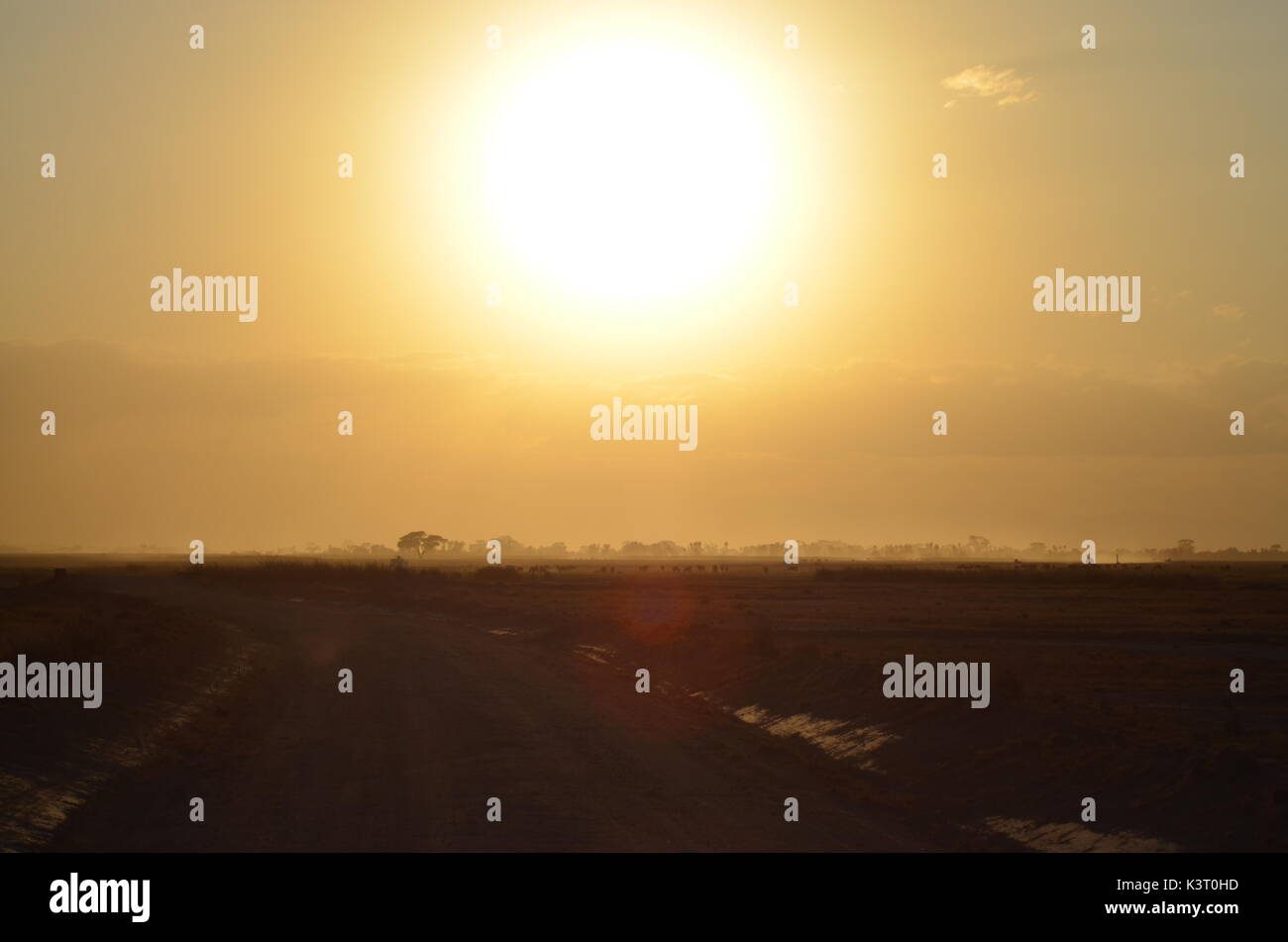 Thebigwideworld hi-res stock photography and images - Alamy